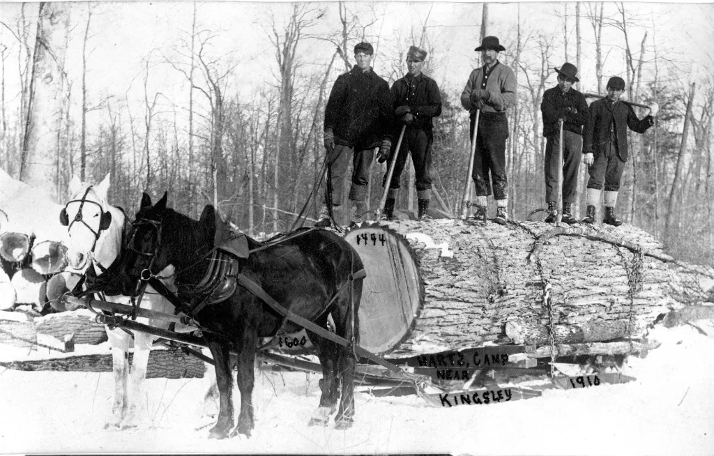 Kingsley, MI_ Hart's Camp, circa 1910
